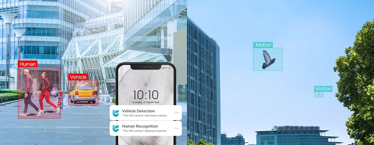 Brede sfeerfoto: straatbeeld met een rood kader Human en Vehicle, een telefoon met meldingen en blauwe Motion-kaders bij vogels en bomen
