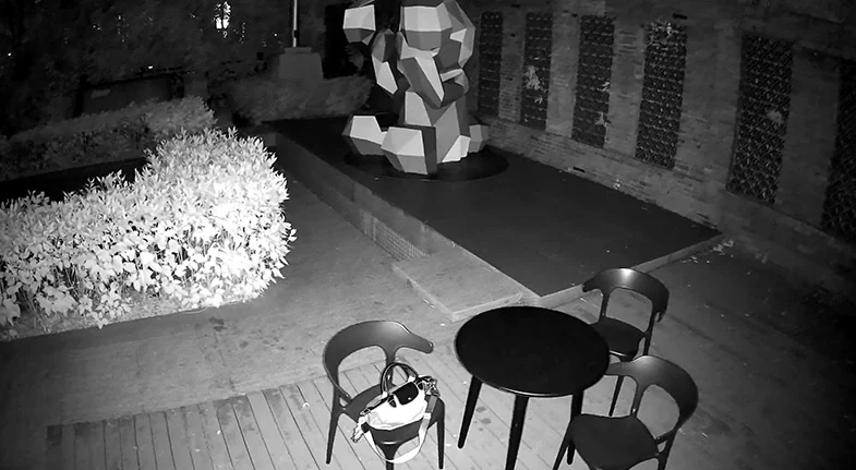 Hetzelfde terras in zwart-wit met infraroodverlichting