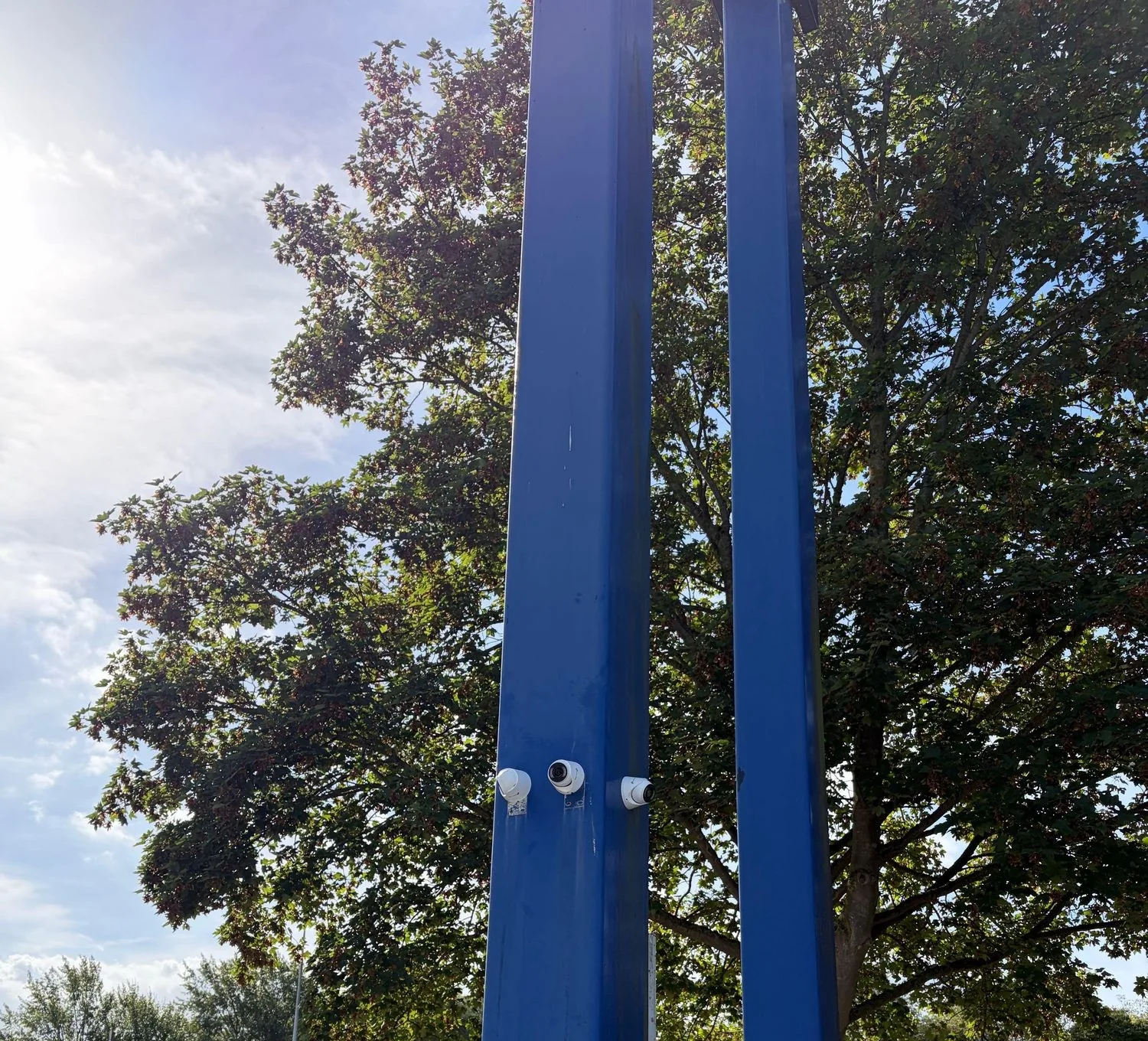 Witte VIGI-turretcamera’s naast elkaar op een blauwe mast, tegen een boom en de lucht
